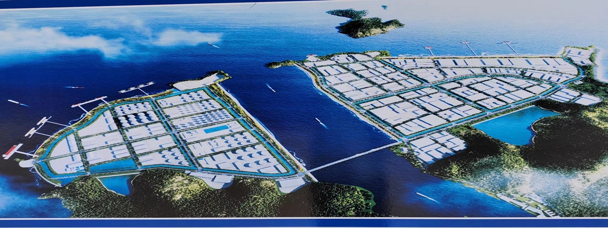 舟山海塘安澜工程项目桩基工程.jpg
